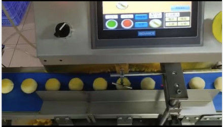 Simple Operation Food Encrusting Machine For Maamoul 120 Pcs/Min
