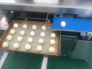 Sensore Kaya Bun Bread Production Line 380V di Panasonic automatica